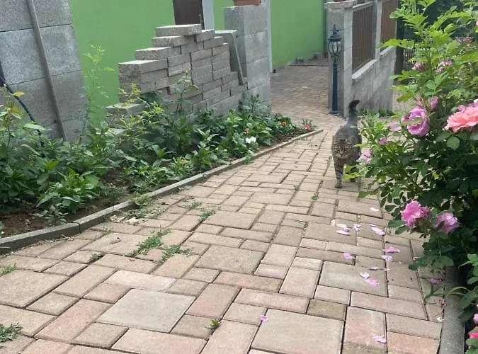 Penzion U Pavla 3*